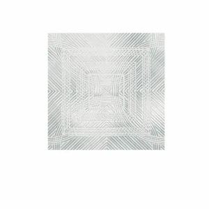 4 x 4 Clear & Etched Bird Deflector, Pack of 6