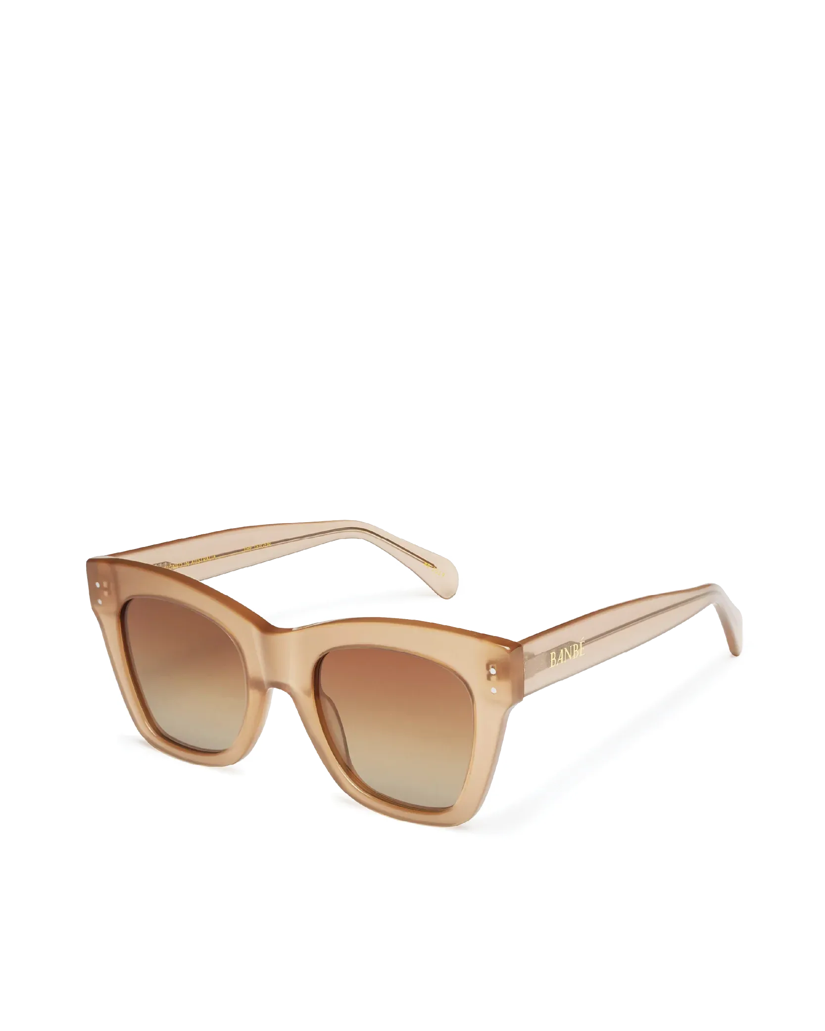 BANBÉ- The Teigen Acetate Frame Square Sunglasses