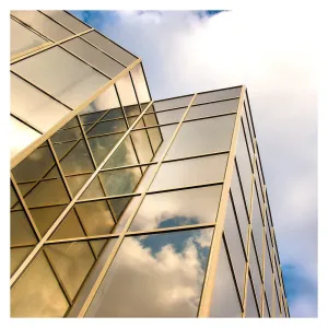 BDF PRGD Window Film Premium Color High Heat Control and Daytime Privacy Gold