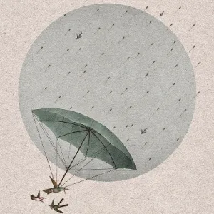 'Canopy'