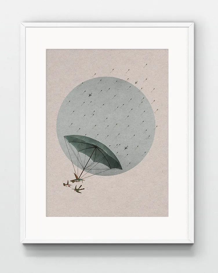 'Canopy'