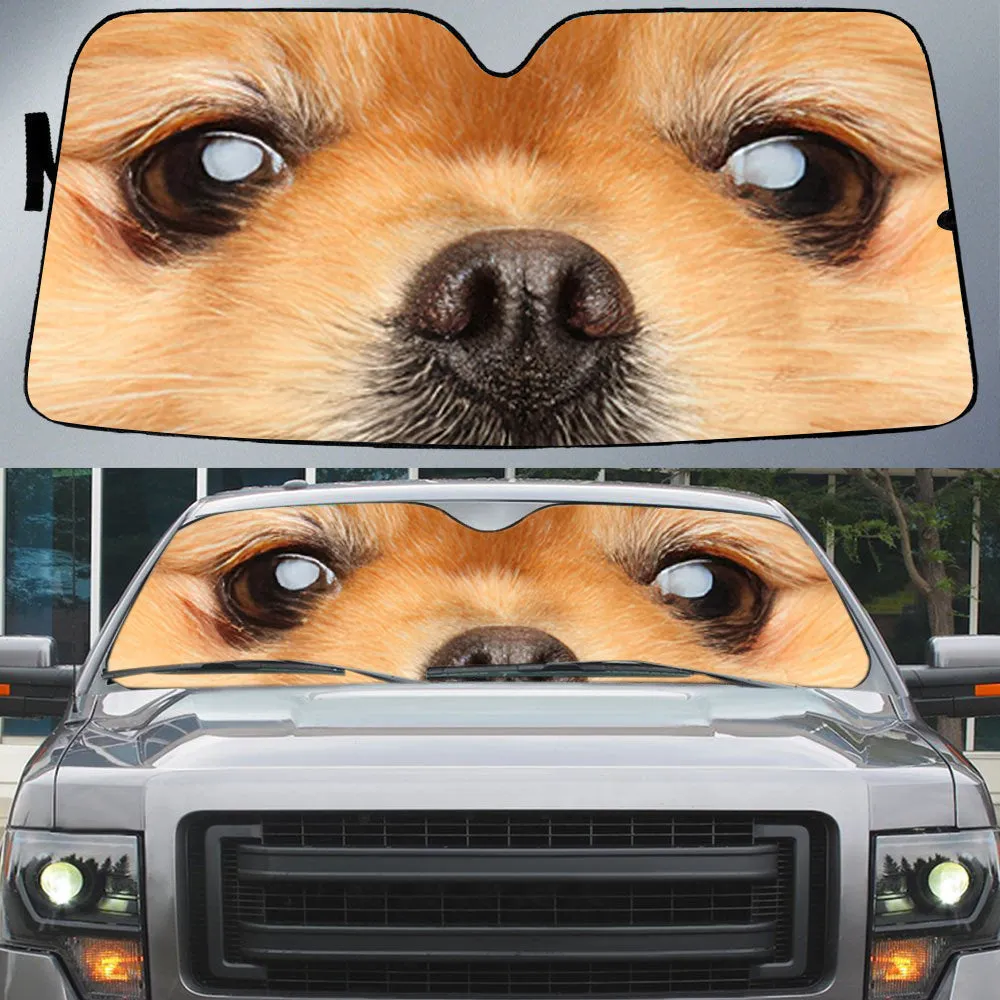 Nice Pomeranian's Eyes Beautiful Dog Eyes Car Sun Shade Cover Auto Windshield
