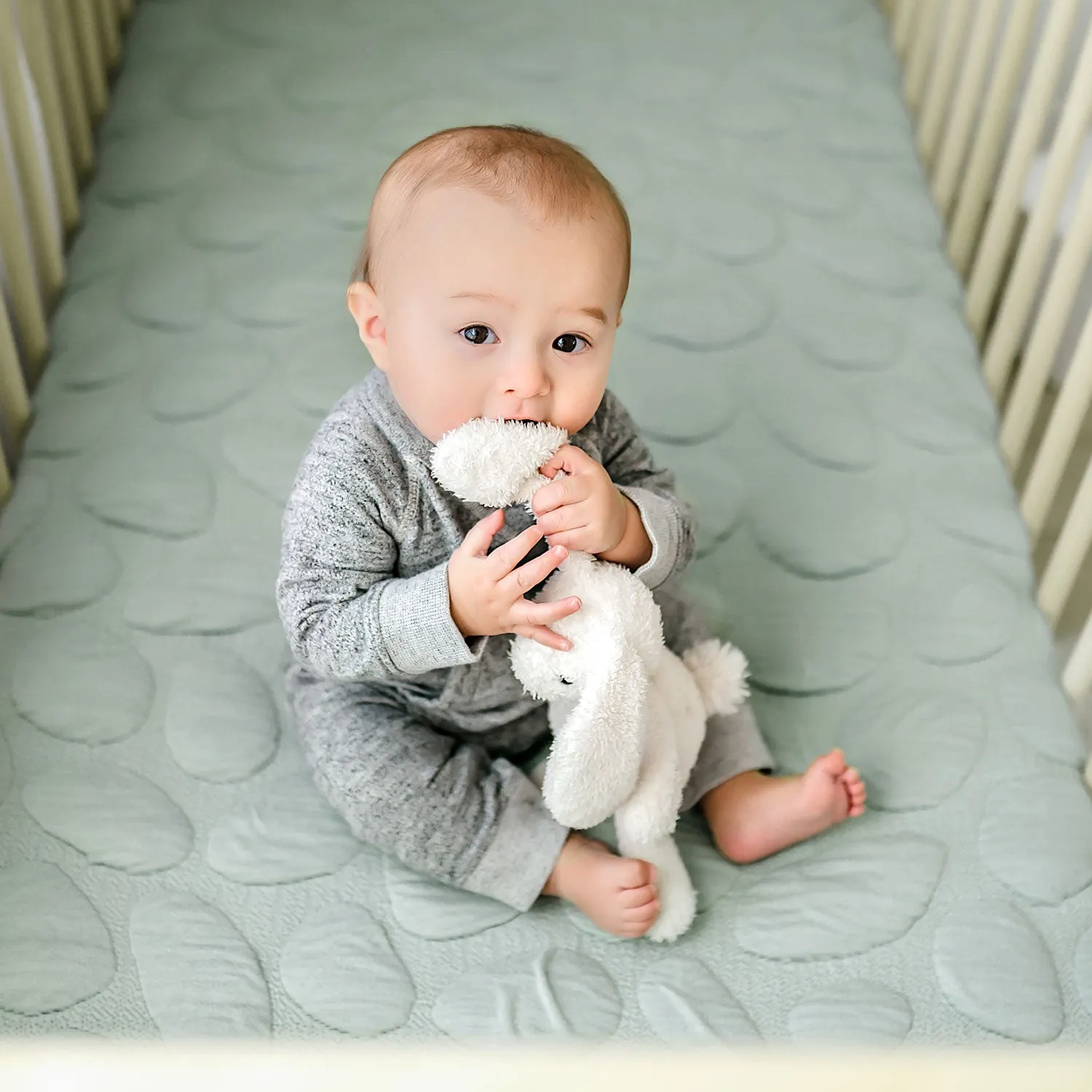 Nook DreamSheet Crib
