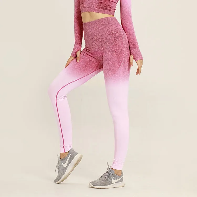 Ombre Seamless Fitness Leggings