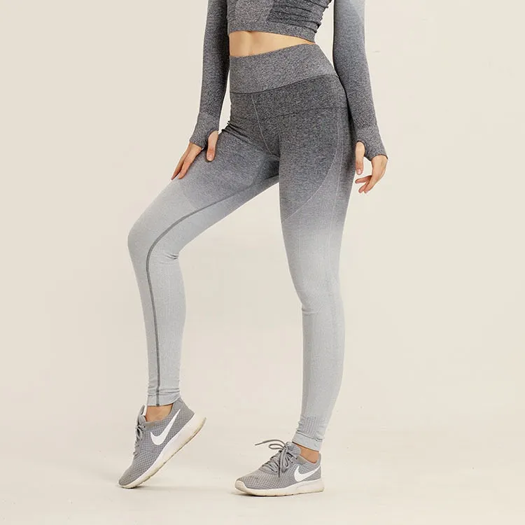 Ombre Seamless Fitness Leggings