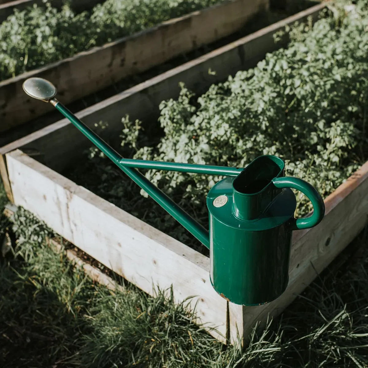 The Warley Fall Watering Can Green