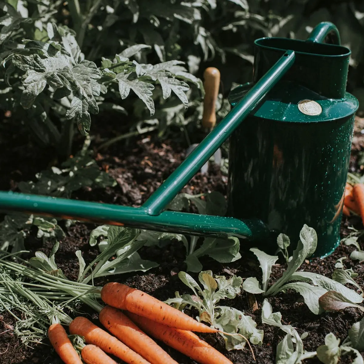 The Warley Fall Watering Can Green